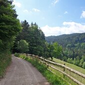 wiesen am forstweg rungganoe