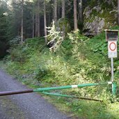 beginn forstweg herrenwald zur farmazon alm