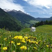 weg a niederflans mauls kapelle wiesen