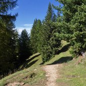 perlenweg nigerpass