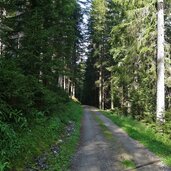 forstweg herrenwald zur farmazon alm