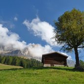 rosengarten nebel perlenweg