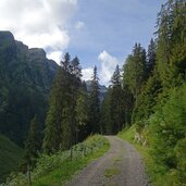 forstweg herrenwald zur farmazon alm