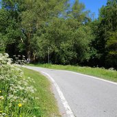 wiese bei tschengls radweg claudia augusta