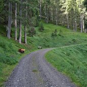 forstweg herrenwald zur farmazon alm