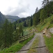 forstweg herrenwald zur farmazon alm