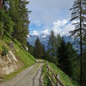 forstweg herrenwald zur farmazon alm