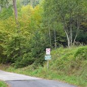 weg zum gsteierhof und forststrasse