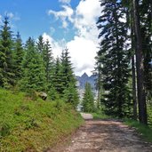 weg richtung buselineck