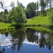 teich oberhalb von peraschupf