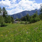 wiesen am saumpfad weg oberhalb peraschupf