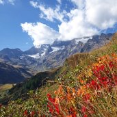 seebertal herbstfarben