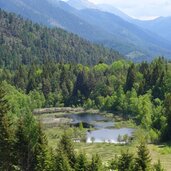 altrei biotop langes moos palude lunga