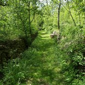 freienfeld weg b von mauls nach valgenaeun