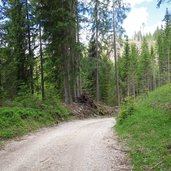 forststrasse welschnofen hagner alm