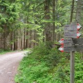 weg nr nach truden alte saege