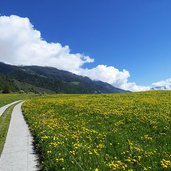 muenstertal landschaft fruehling