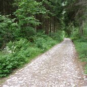 weg nr nach truden alte saege