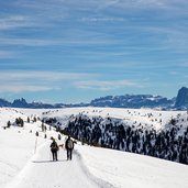 reinswald wanderer hund geisler sella gruppe winter