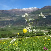 weg b bei schgumsertal darunter vinschgau bei eyrs