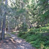 weg nr auf den lutterkopf