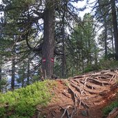 weg nr auf den lutterkopf