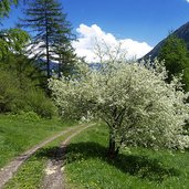 weg nr calvenwald