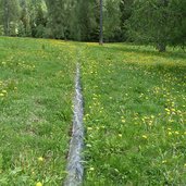 weg nr bei calvenwald