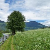 glurnser waalweg mitterwaal