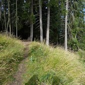 wanderweg zur tarscher alm