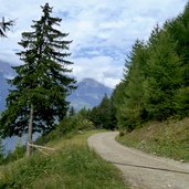 strasse tarscher alm