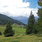 weg zur taistner alm