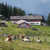 taistner alm