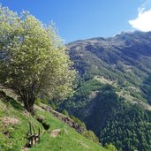 neuwaal waalweg sonnenberg schlandrauntal