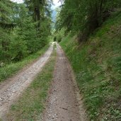 abstieg nach laatsch forstweg b