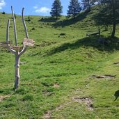 weg latzfonser kreuz hund