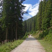 weg a von taistner alm richtung mudler