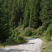 weg a von taistner alm richtung mudler