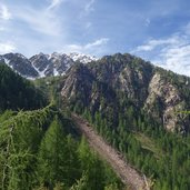 wald und hangrutsch bei oberes spiel wildgrub