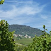 tramin weinberge und soell