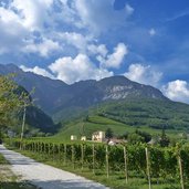 tramin schloss rechtental weinberge