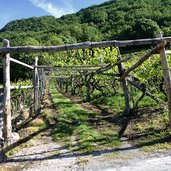 abzweigung weg bei kreither sattel