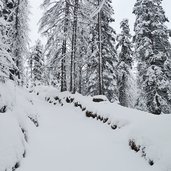 schnee wanderweg drei schupfen