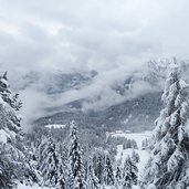 winterwald bei rosengarten karerpass dahinter latemar nebel