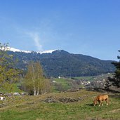 felsen vor feldthurns