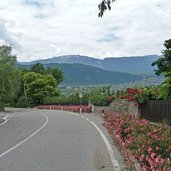 strasse bei steinmannwald berg gemeinde leifers