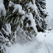 eiszapfen am baum winter schnee