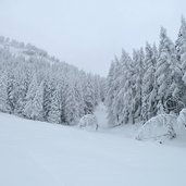 winterwald bei karerpass