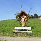 kastanienweg bei feldthurns fruehling