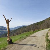 keschtnweg kastanienweg im fruehling feldthurns klausen